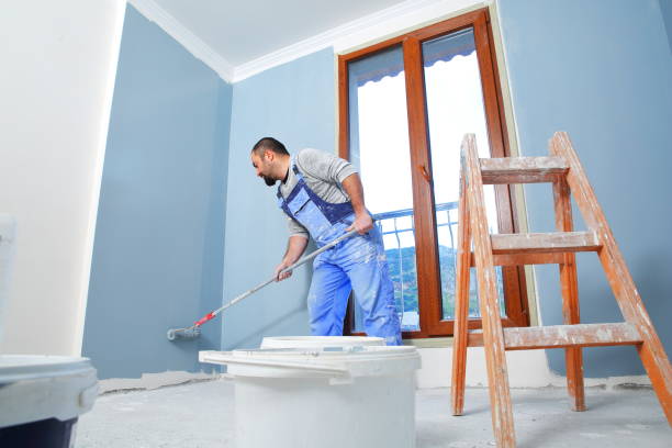 Best Mold Damage Restoration  in Prosperity, SC