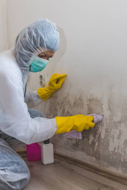 Best Forensic Mold Investigation  in Prosperity, SC