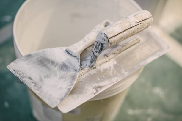 Asbestos and Lead Testing During Mold Inspection in Prosperity, SC