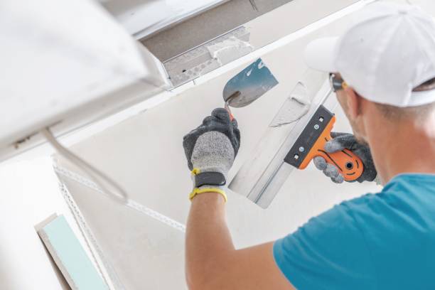 Best Asbestos and Lead Testing During Mold Inspection  in Prosperity, SC